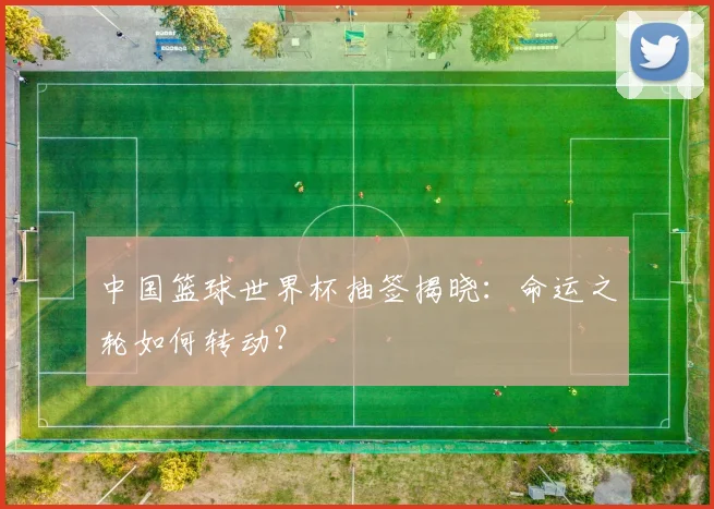 中国篮球世界杯抽签揭晓：命运之轮如何转动？