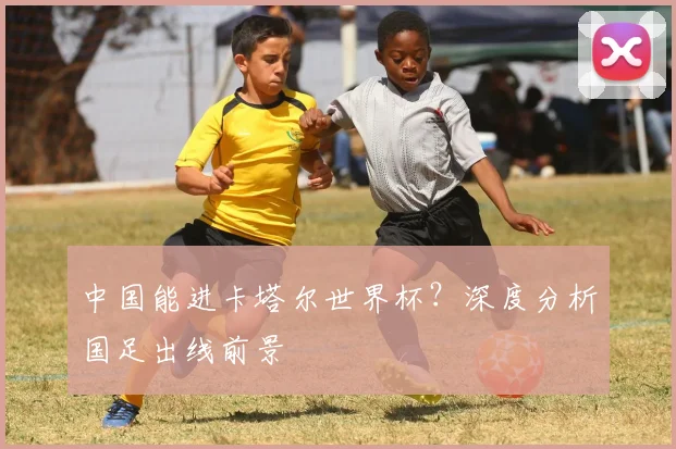 中国能进卡塔尔世界杯？深度分析国足出线前景