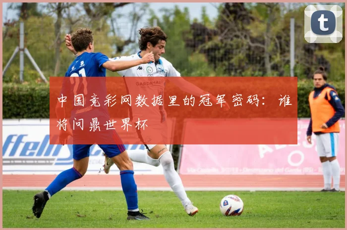 中国竞彩网数据里的冠军密码：谁将问鼎世界杯