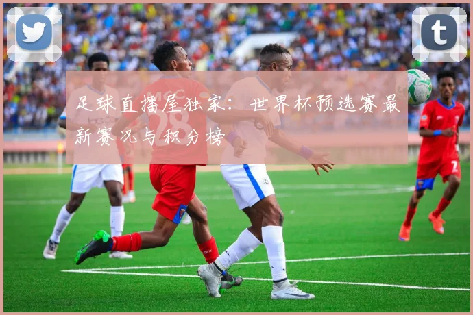 足球直播屋独家：世界杯预选赛最新赛况与积分榜